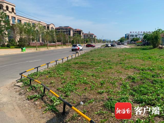 新合埠路最新動(dòng)態(tài)，邁向未來的城市主干道重塑與升級(jí)