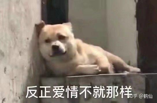 微信最新表情包含義，探索表情背后的故事與情感表達