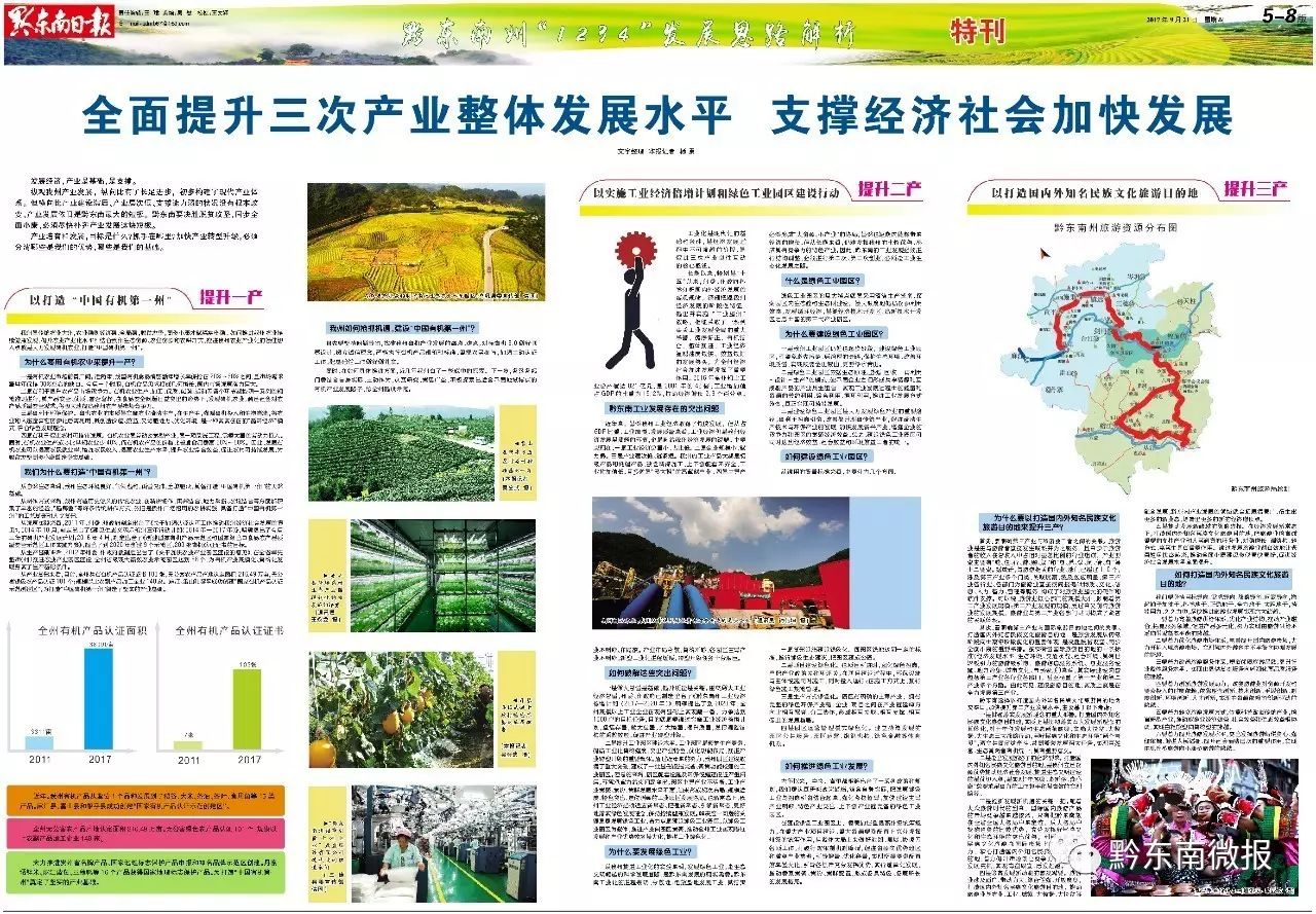 今期香港最新跑狗圖，探索與解讀