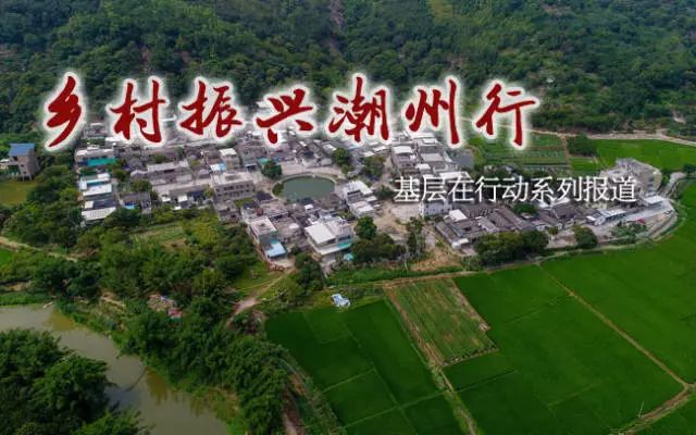 牧馬鎮(zhèn)蓮花村最新規(guī)劃，鄉(xiāng)村振興的藍(lán)圖展望