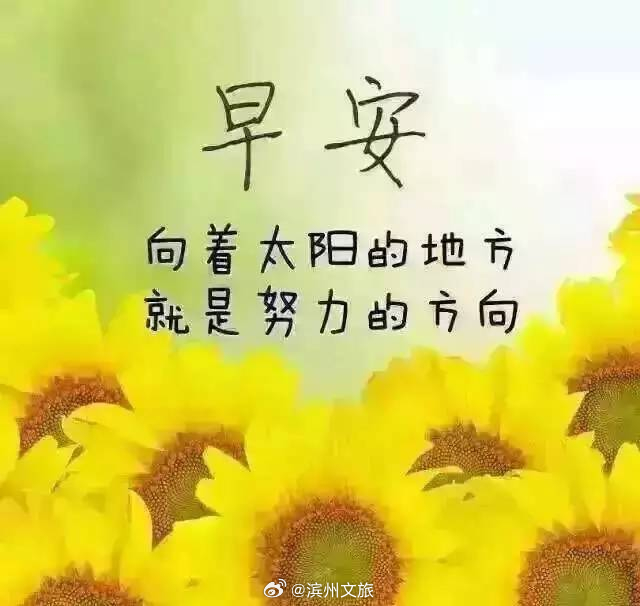說(shuō)說(shuō)早安，迎接全新的一天，擁抱美好的人生