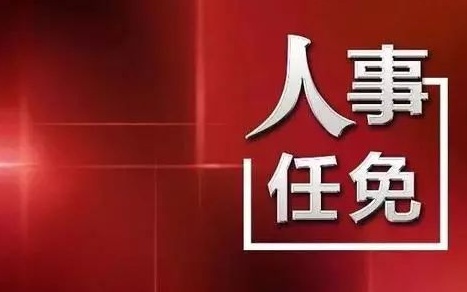 中央最新人事任免，蔡某某的新職務(wù)與未來(lái)展望