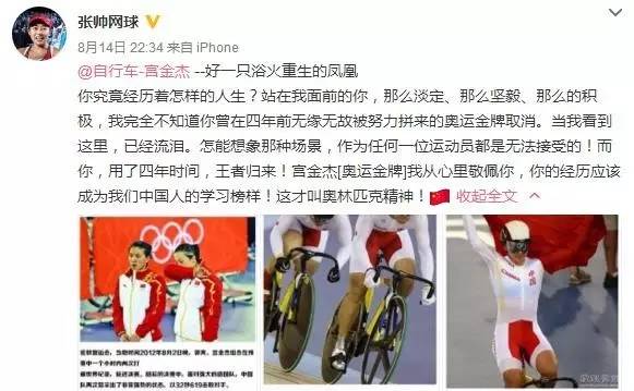 新澳門火鳳凰，力量釋義、解釋與落實資料大全