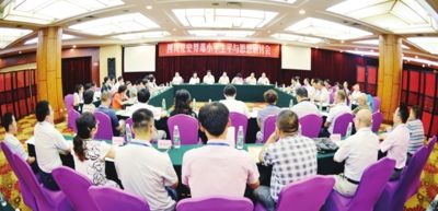 澳門王中王100的資料論壇，深入解析與落實(shí)的探討