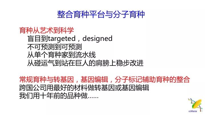 澳門正版免費(fèi)服務(wù)與顧問(wèn)釋義解釋落實(shí)，未來(lái)的趨勢(shì)與挑戰(zhàn)